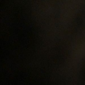 Meet your Posher, Molly